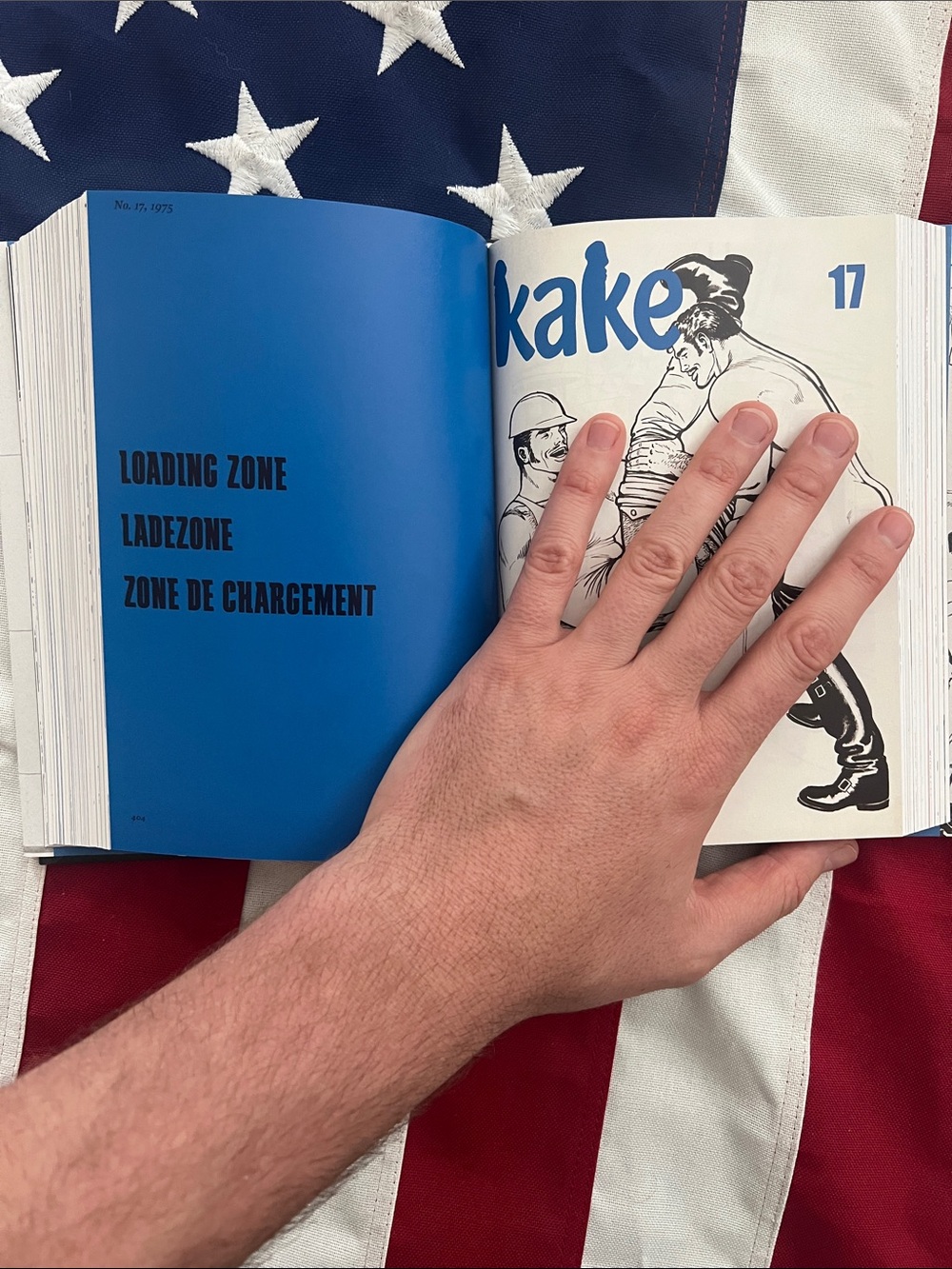 Tom of Finland comic collection book - Picture 10 of 14